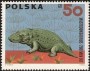 动物:欧洲:波兰:pl196604.jpg