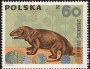 动物:欧洲:波兰:pl196605.jpg