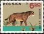 动物:欧洲:波兰:pl196608.jpg