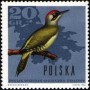 动物:欧洲:波兰:pl196611.jpg