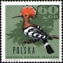 动物:欧洲:波兰:pl196614.jpg