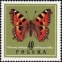 动物:欧洲:波兰:pl196712.jpg