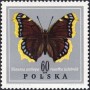 动物:欧洲:波兰:pl196713.jpg