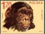 动物:欧洲:波兰:pl197204.jpg