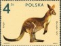 动物:欧洲:波兰:pl197207.jpg