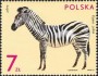 动物:欧洲:波兰:pl197209.jpg