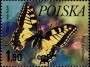 动物:欧洲:波兰:pl197703.jpg