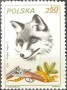 动物:欧洲:波兰:pl198105.jpg