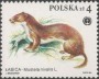 动物:欧洲:波兰:pl198401.jpg