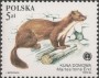 动物:欧洲:波兰:pl198402.jpg