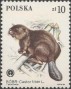 动物:欧洲:波兰:pl198405.jpg