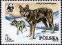 动物:欧洲:波兰:pl198501.jpg
