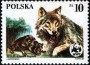 动物:欧洲:波兰:pl198502.jpg