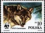 动物:欧洲:波兰:pl198503.jpg