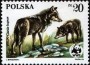 动物:欧洲:波兰:pl198504.jpg