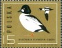动物:欧洲:波兰:pl198508.jpg