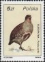 动物:欧洲:波兰:pl198601.jpg