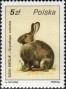 动物:欧洲:波兰:pl198602.jpg