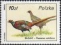 动物:欧洲:波兰:pl198603.jpg