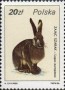 动物:欧洲:波兰:pl198605.jpg