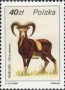 动物:欧洲:波兰:pl198606.jpg