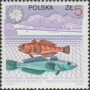 动物:欧洲:波兰:pl198702.jpg