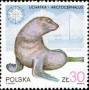 动物:欧洲:波兰:pl198705.jpg