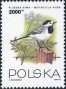 动物:欧洲:波兰:pl199302.jpg