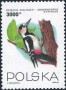 动物:欧洲:波兰:pl199303.jpg