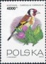 动物:欧洲:波兰:pl199304.jpg