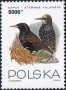 动物:欧洲:波兰:pl199305.jpg