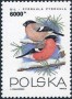动物:欧洲:波兰:pl199306.jpg