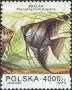 动物:欧洲:波兰:pl199402.jpg