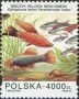 动物:欧洲:波兰:pl199403.jpg