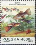 动物:欧洲:波兰:pl199404.jpg