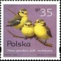 动物:欧洲:波兰:pl199501.jpg