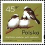 动物:欧洲:波兰:pl199502.jpg