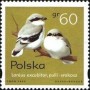 动物:欧洲:波兰:pl199503.jpg