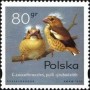 动物:欧洲:波兰:pl199504.jpg