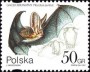 动物:欧洲:波兰:pl199701.jpg