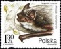 动物:欧洲:波兰:pl199704.jpg