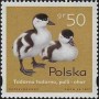 动物:欧洲:波兰:pl199705.jpg