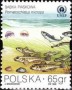 动物:欧洲:波兰:pl199802.jpg