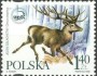 动物:欧洲:波兰:pl199901.jpg