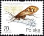 动物:欧洲:波兰:pl199905.jpg