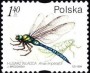 动物:欧洲:波兰:pl199907.jpg