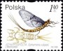 动物:欧洲:波兰:pl199908.jpg