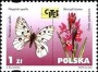 动物:欧洲:波兰:pl200102.jpg