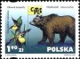 动物:欧洲:波兰:pl200104.jpg