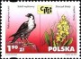 动物:欧洲:波兰:pl200105.jpg